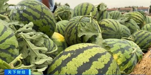 周口商丘吃瓜事件视频,一场网络热议的真相追踪